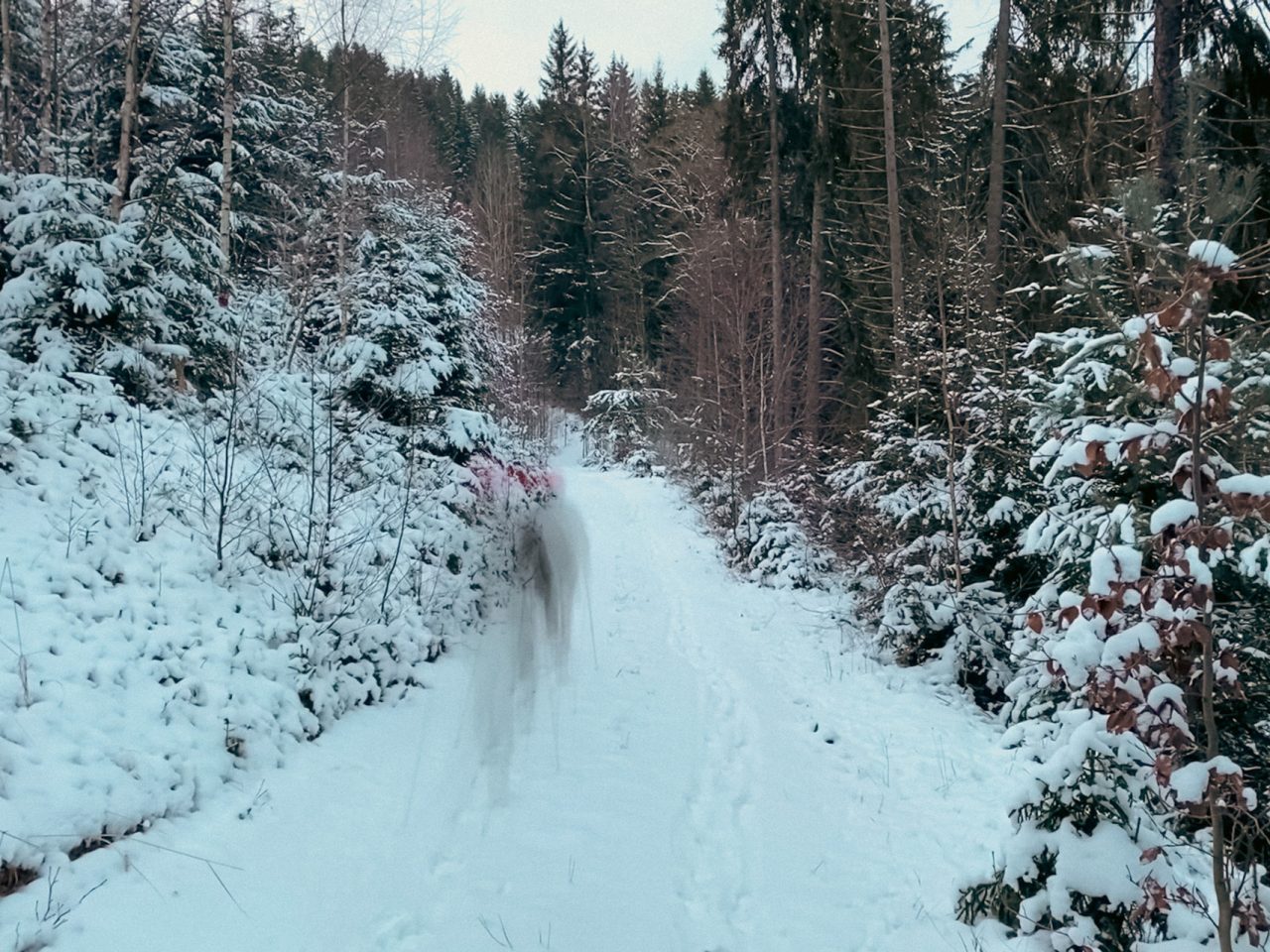 VG Pleystein Georgenberg VG Pleystein Tourismus Mühle Gehenhammer