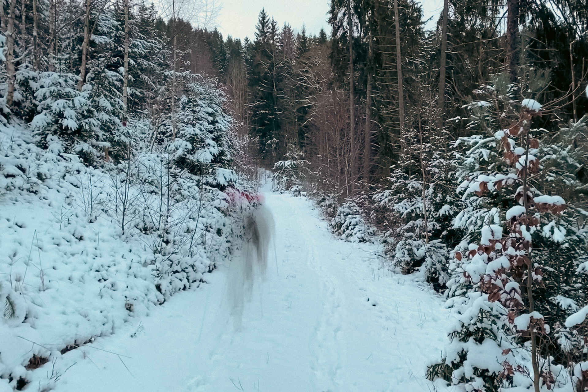VG Pleystein Georgenberg VG Pleystein Tourismus Mühle Gehenhammer