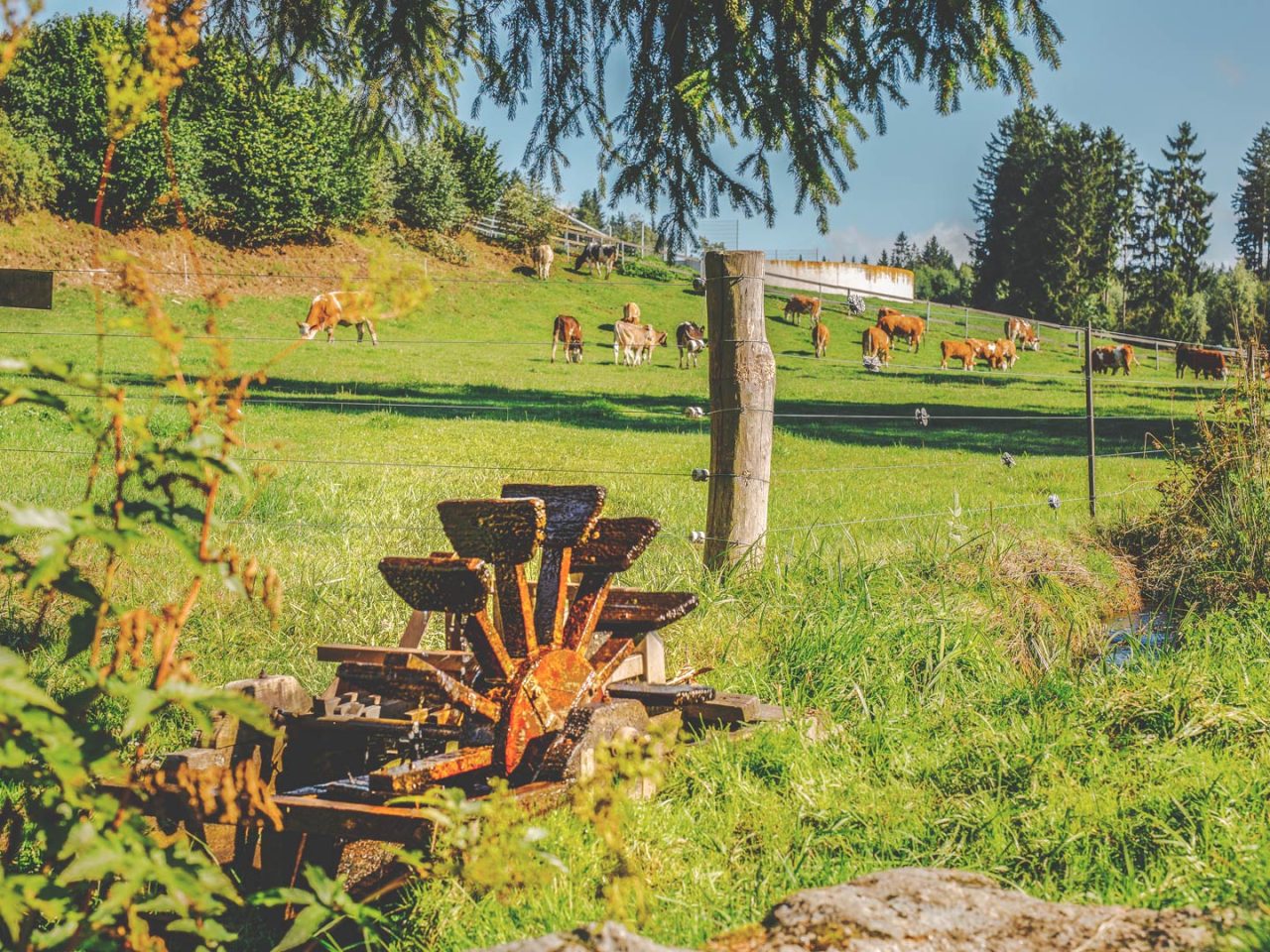 Feiselbach Hammerspiel